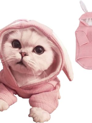 Dog Hoodies Sweatshirt with Bunny Ears Spring Puppy Clothes for Small Dog Girl Boy Soft Doggy Sweater Cat Apparel Pet Clothing for Kitten Pomeranian Chihuahua (Medium, Pink)