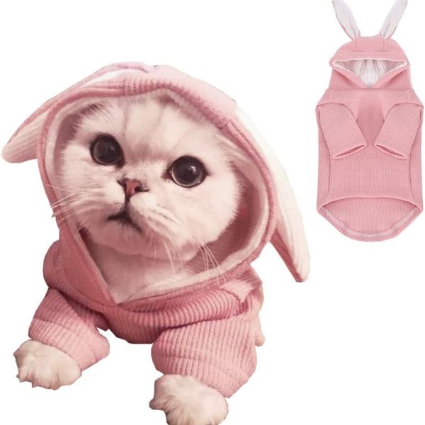 Dog Hoodies Sweatshirt with Bunny Ears Spring Puppy Clothes for Small Dog Girl Boy Soft Doggy Sweater Cat Apparel Pet Clothing for Kitten Pomeranian Chihuahua (Medium, Pink)