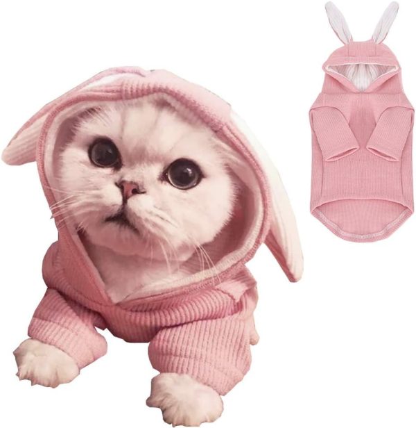 Dog Hoodies Sweatshirt with Bunny Ears Spring Puppy Clothes for Small Dog Girl Boy Soft Doggy Sweater Cat Apparel Pet Clothing for Kitten Pomeranian Chihuahua (Medium, Pink)