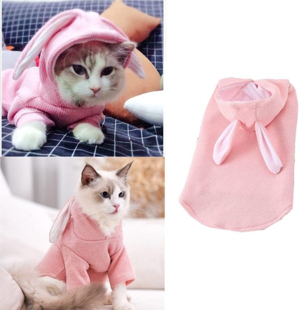 Dog Hoodies Sweatshirt with Bunny Ears Spring Puppy Clothes for Small Dog Girl Boy Soft Doggy Sweater Cat Apparel Pet Clothing for Kitten Pomeranian Chihuahua (Medium, Pink)