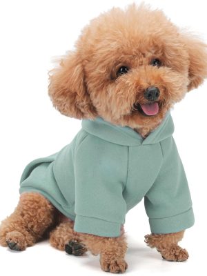Winter Dog Hoodie with Pockets - Solid Color Polycotton Sweatshirt for Small, Medium, and Large Dogs - Soft, Warm, Cozy Pet Clothing for Cold Weather - Ideal for Outdoor Walks.Cyan Blue-M